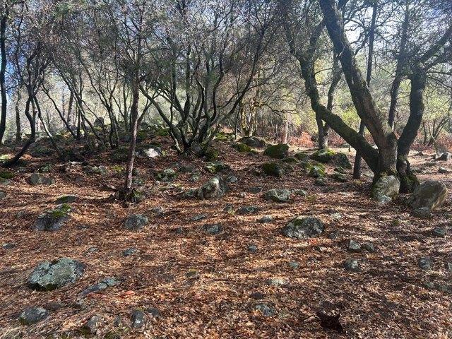 Land for sale in Penn Valley, California