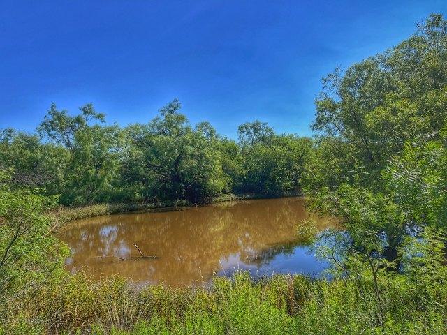 Land for sale in Nolan, Texas