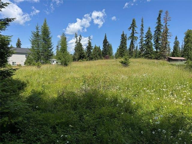 Land for sale in Bigfork, Montana