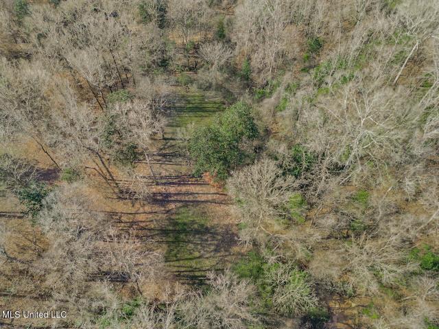 House for sale in Saint Francisville, Louisiana