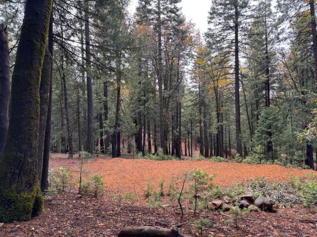 Land for sale in Nevada City, California