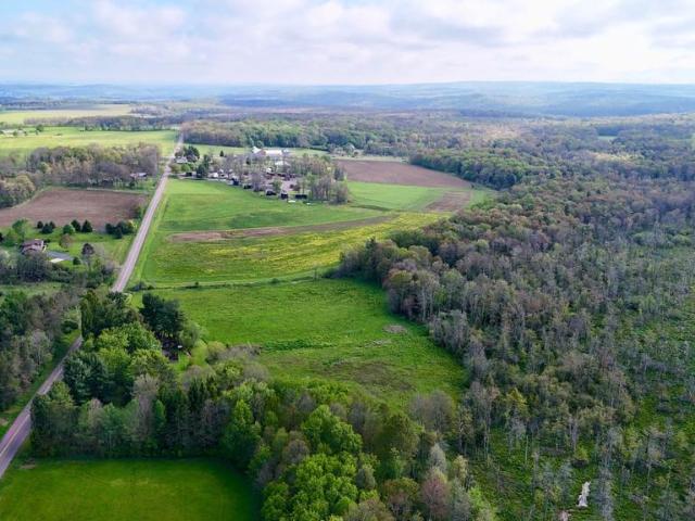Land for sale in Coleman, Stonycreek Township