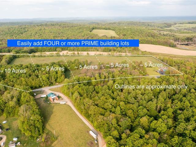 Land for sale in Burlington Flats, New York