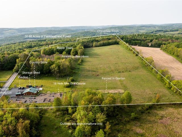 Land for sale in Burlington Flats, New York