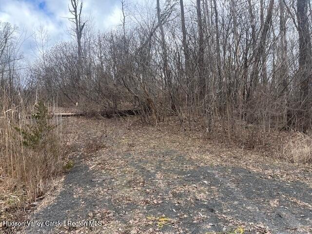 Land for sale in Coxsackie, New York