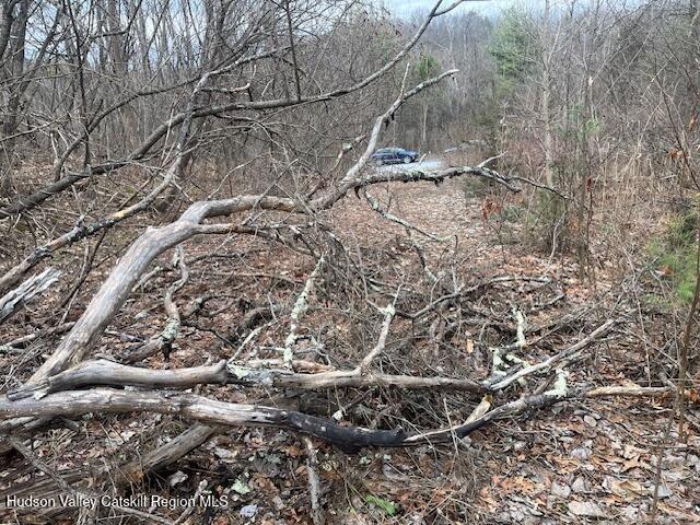 Land for sale in Coxsackie, New York