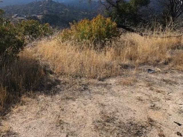 Land for sale in Butte, California