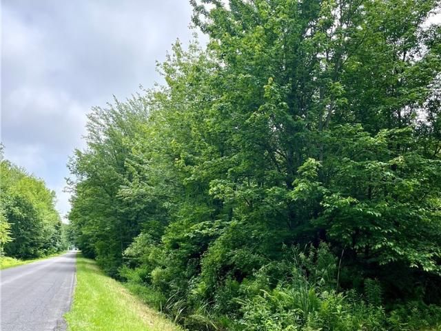 Land for sale in Cayuga, New York