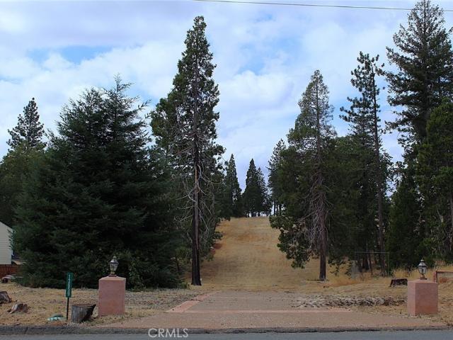 Land for sale in Butte, California