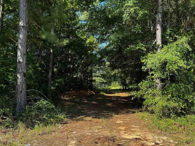 Land for sale in Rusk, Texas