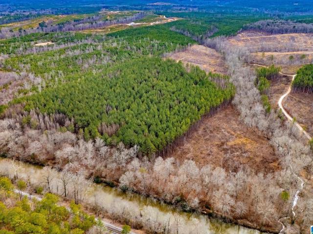Land for sale in Muscadine, Alabama