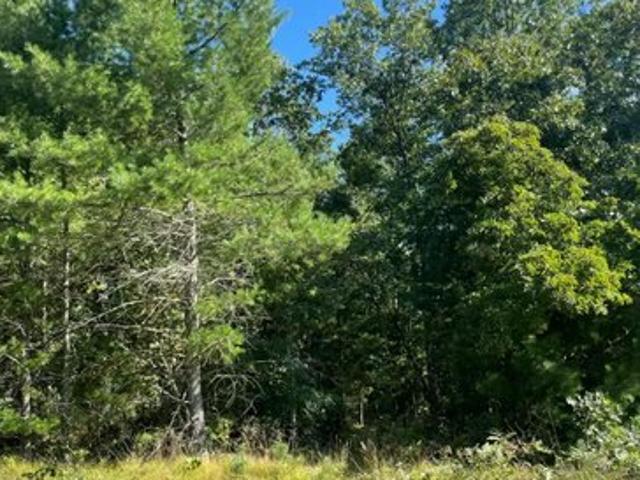 Land for sale in Whitehall, Michigan