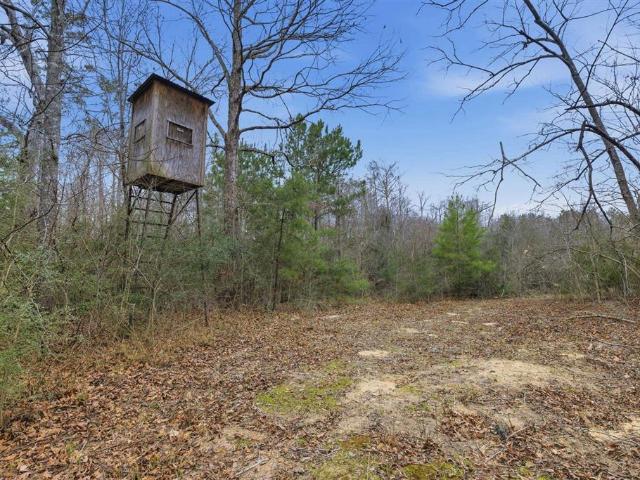 Land for sale in Merryville, Louisiana