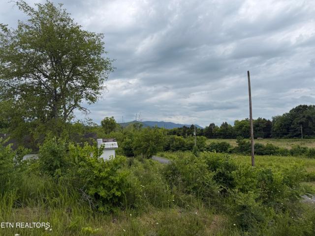 Land for sale in Tennessee