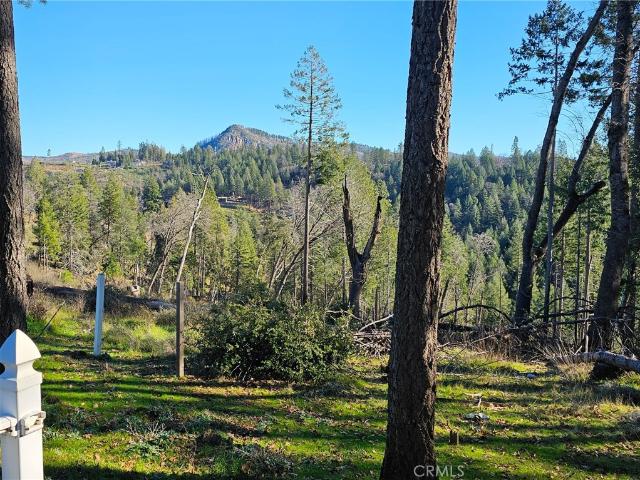 Land for sale in Butte, California