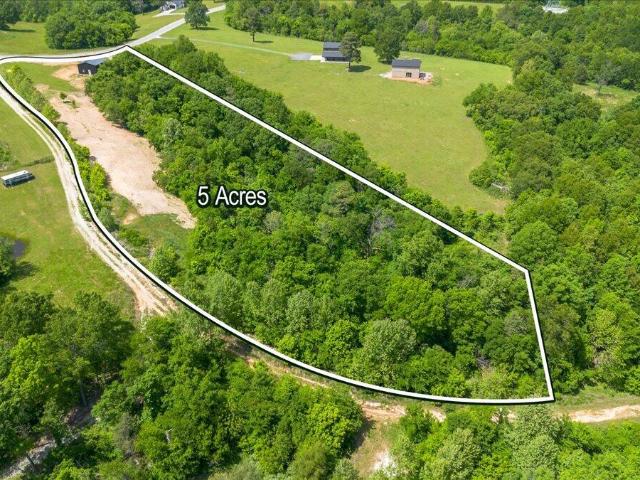Land for sale in Pineville, Missouri