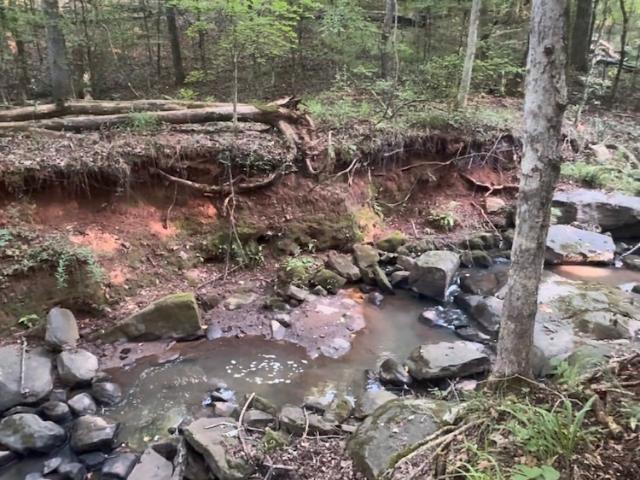 Land for sale in Upson, Georgia