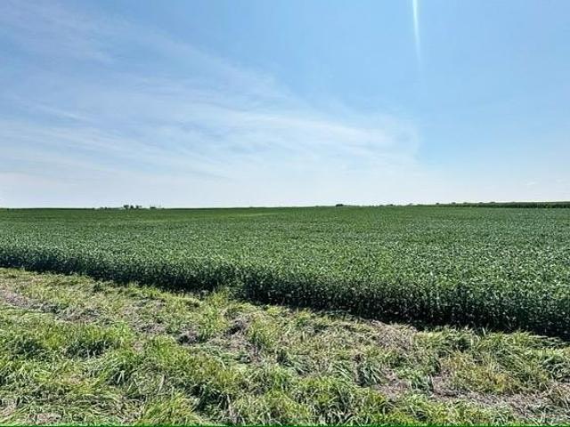 Land for sale in Clare, Iowa