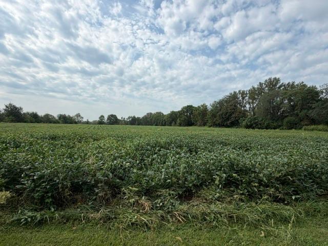 House for sale in Essex, Kankakee County