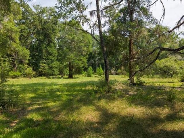 Land for sale in Dixie, Florida