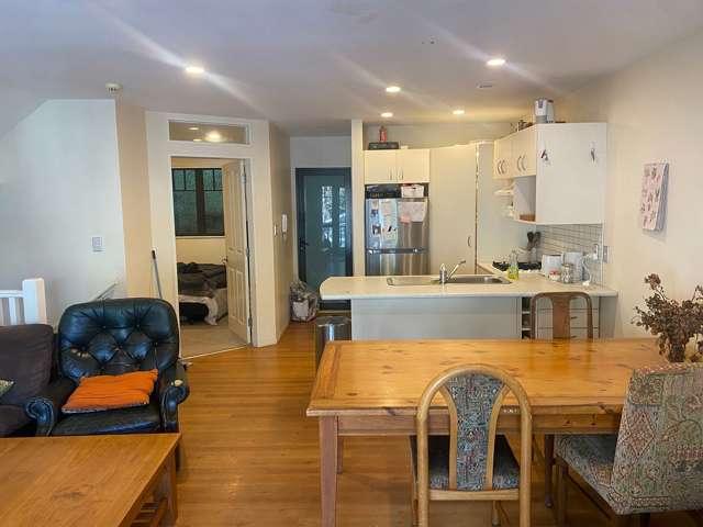 Apartment for rent in Aro Valley, Wellington