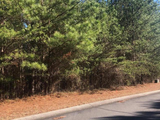 Land for sale in Tennessee
