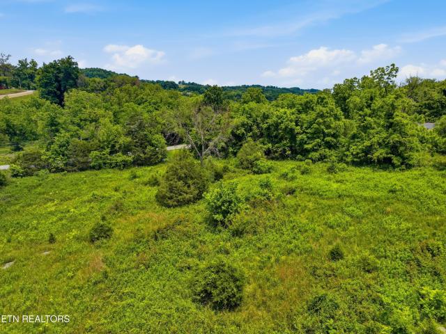 Land for sale in Tennessee