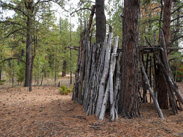 Land for sale in Bear Creek, Antonito