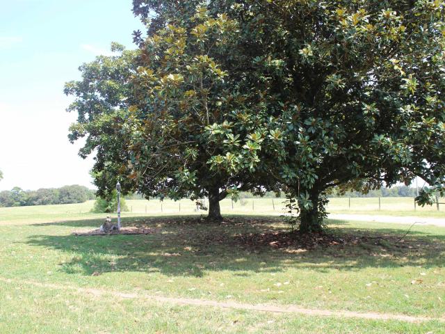 House for sale in Nashville, Pike County