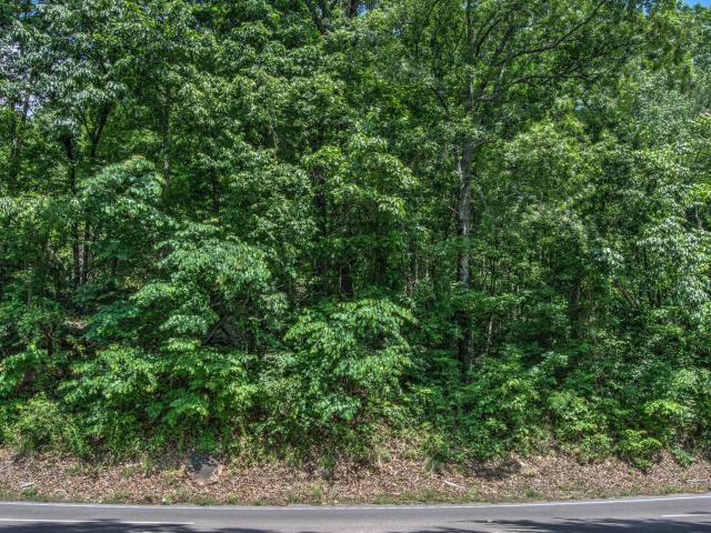 Land for sale in Trenton, Georgia