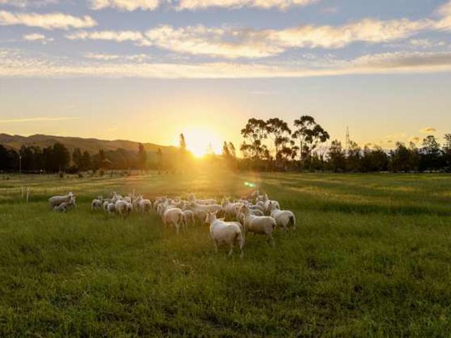Property for sale in Blenheim Central, Marlborough