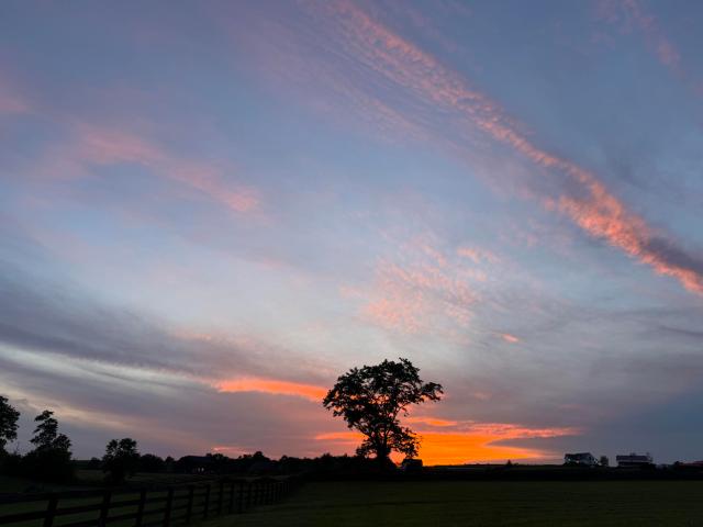 Land for sale in Buffalo Trace, Georgetown