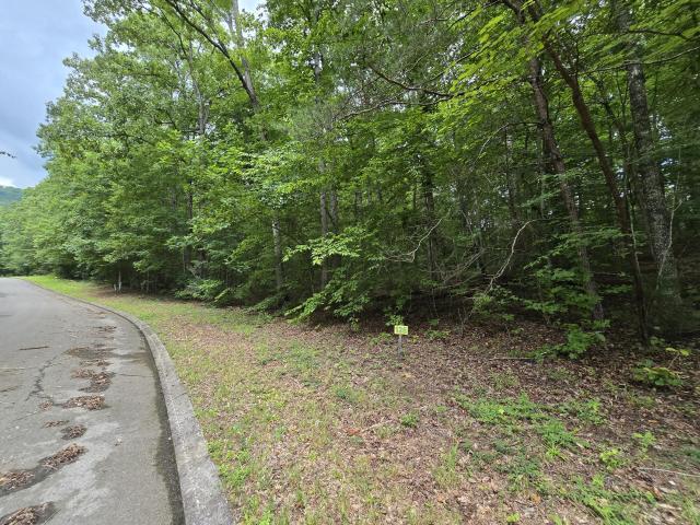 Land for sale in Dunlap, East Tennessee