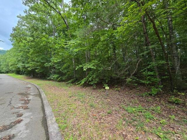 Land for sale in Tennessee
