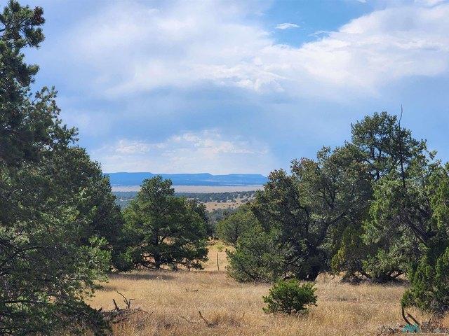 Land for sale in Catron, New Mexico