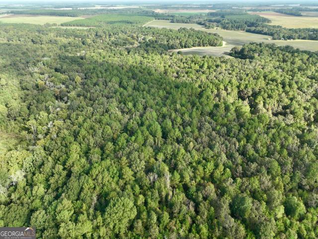 Land for sale in Pineview, Georgia