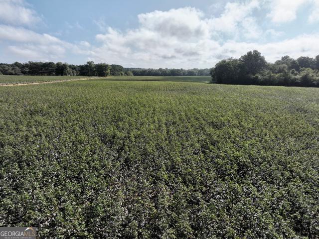 Land for sale in Pineview, Georgia