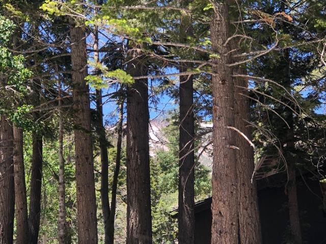 Land for sale in Mammoth Lakes, California