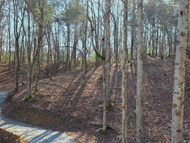 Land for sale in Gilmer, Georgia