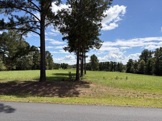 Land for sale in Americus, Georgia