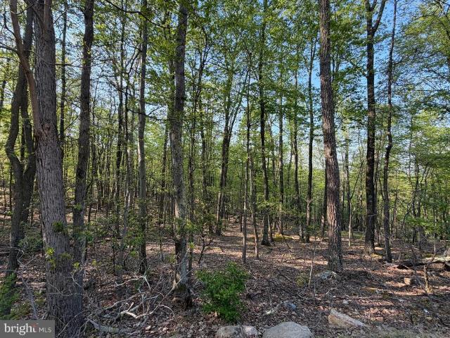 Land for sale in Zion Grove, Pennsylvania