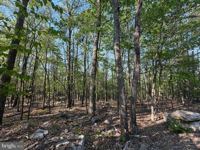 Land for sale in Zion Grove, Pennsylvania