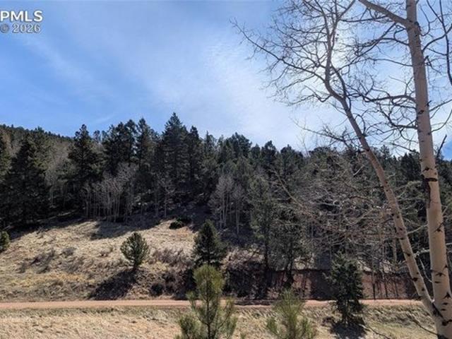 Land for sale in Divide, Teller County