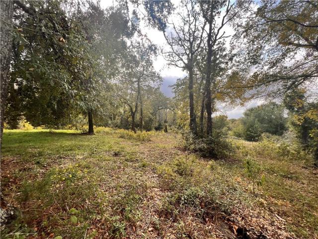 Land for sale in Leon, Texas