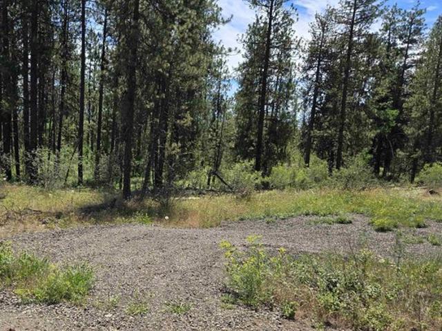 Land for sale in Nine Mile Falls, Washington