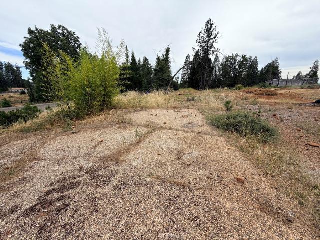 Land for sale in Butte, California