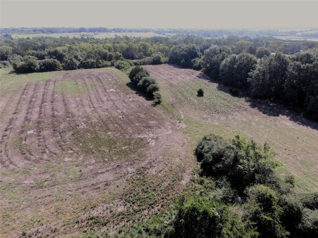 Land for sale in Chappell Hill, Texas