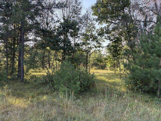 Land for sale in Nekoosa, Wisconsin