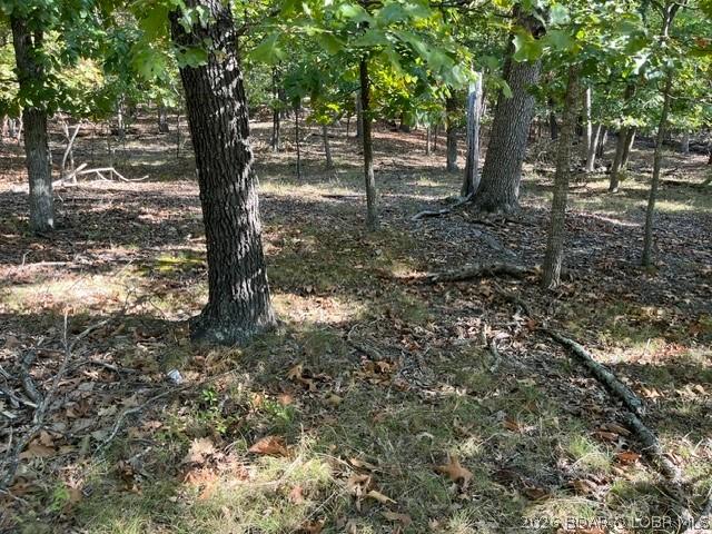 Land for sale in Sunrise Beach, Camden County