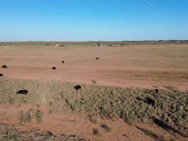 Land for sale in Merkel, Taylor County